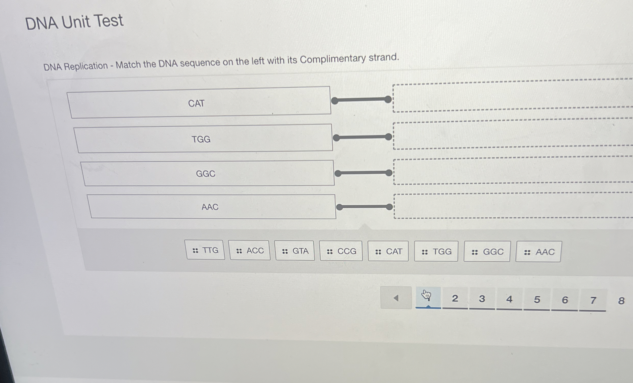 DNA Unit Test DNA Replication - Match the DNA