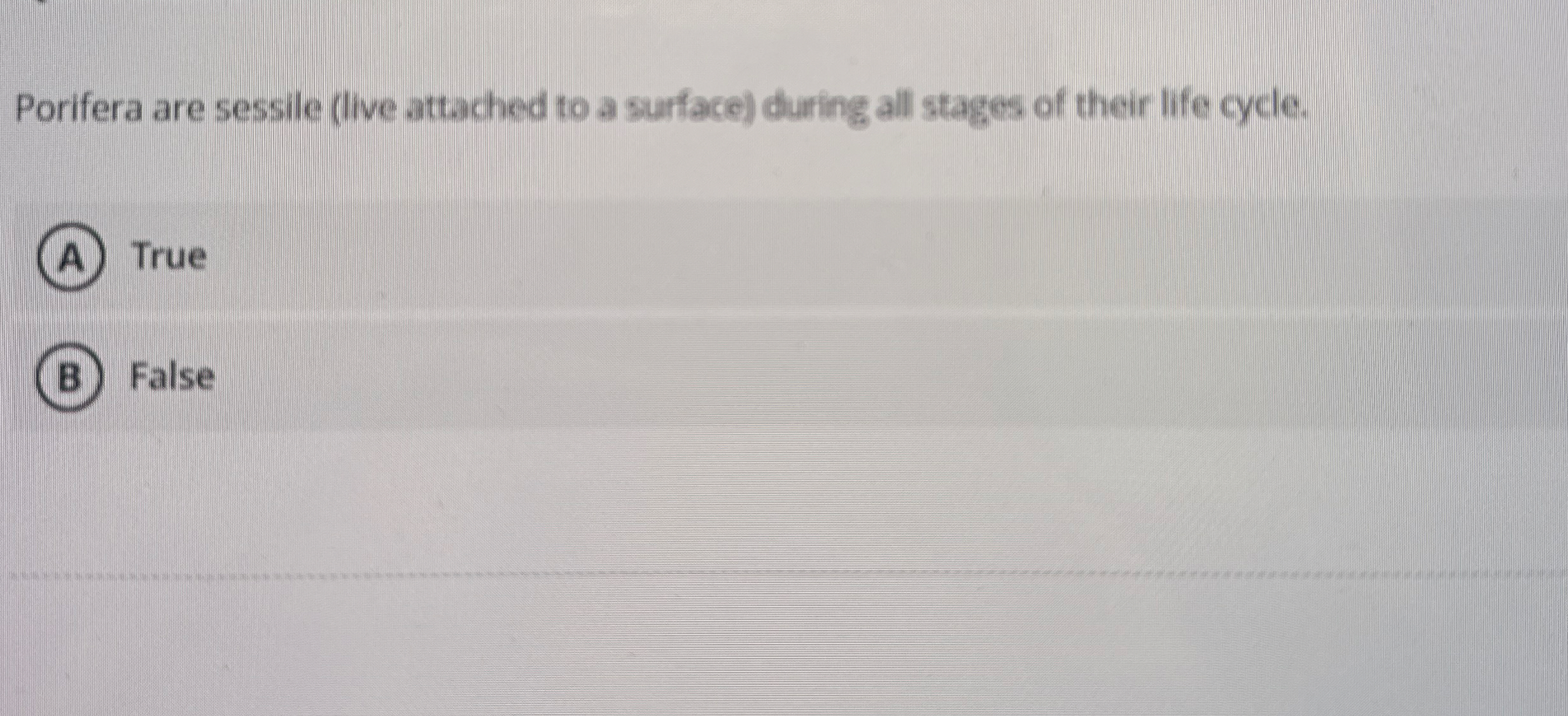 Porifera are sessile ( live attached to a surface