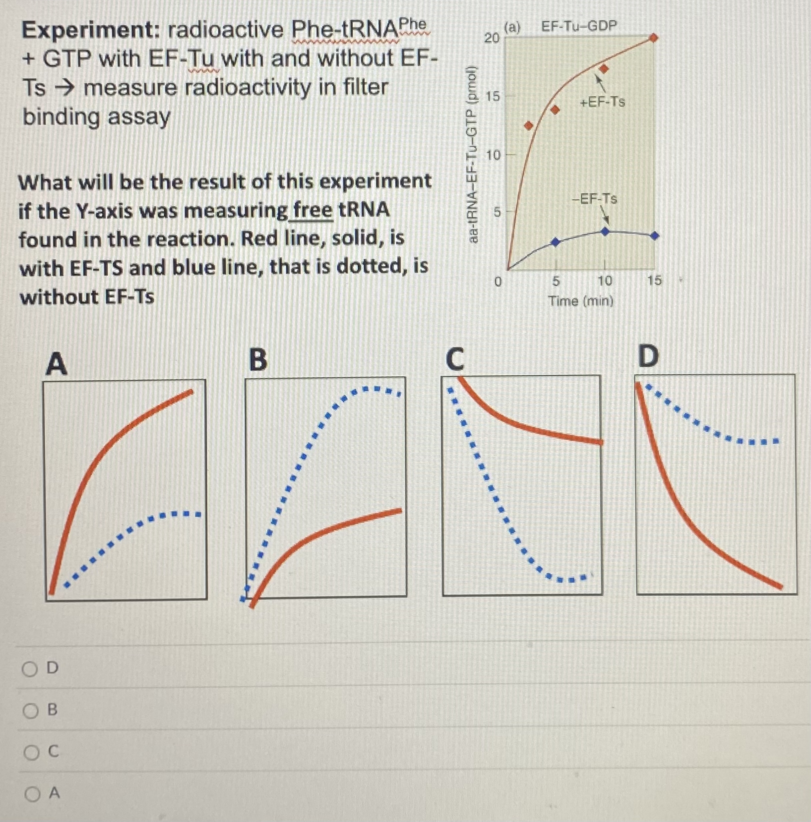 Experiment: radioactive Phe - tRNA ? P h e + GTP