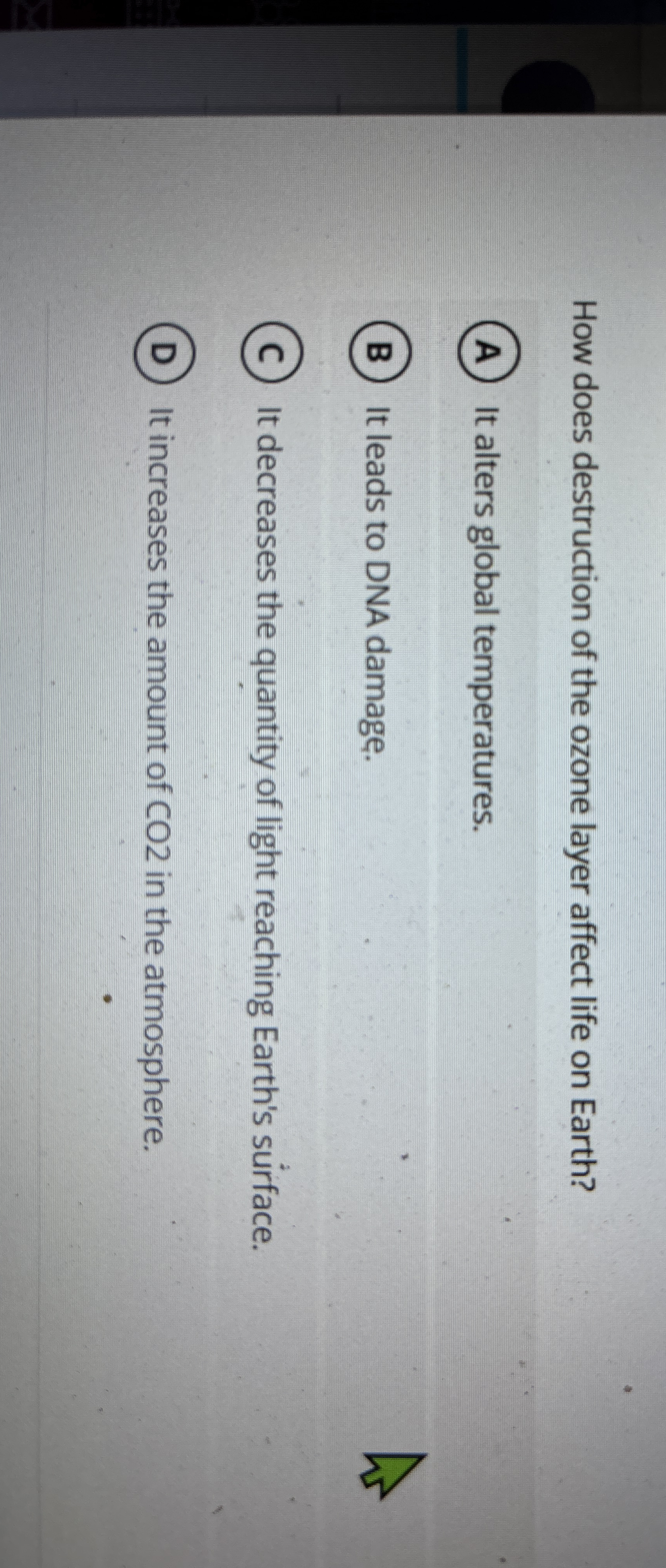 How does destruction of the ozone layer affect