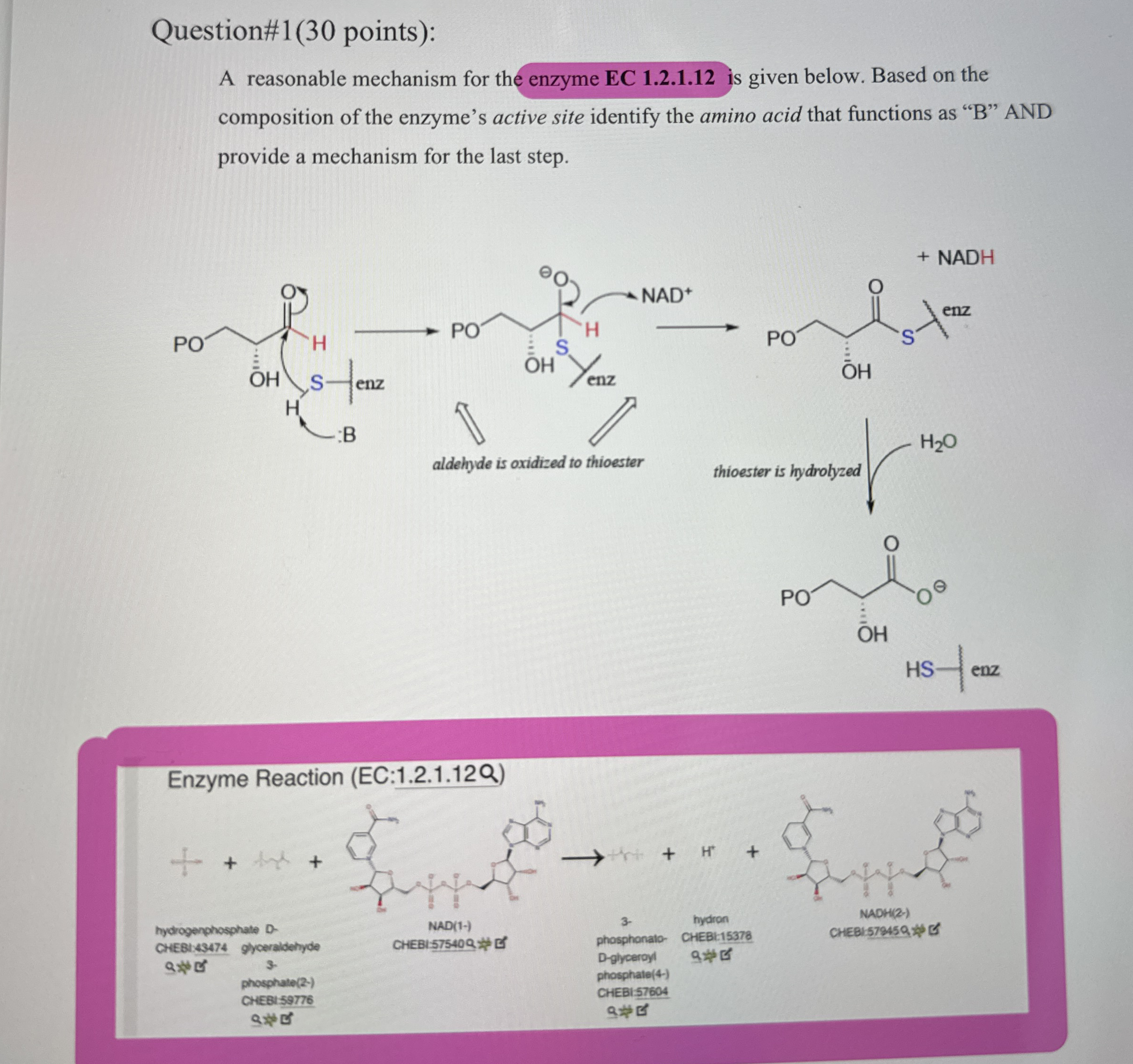 Question# 1 ( 3 0 points ) : A reasonable