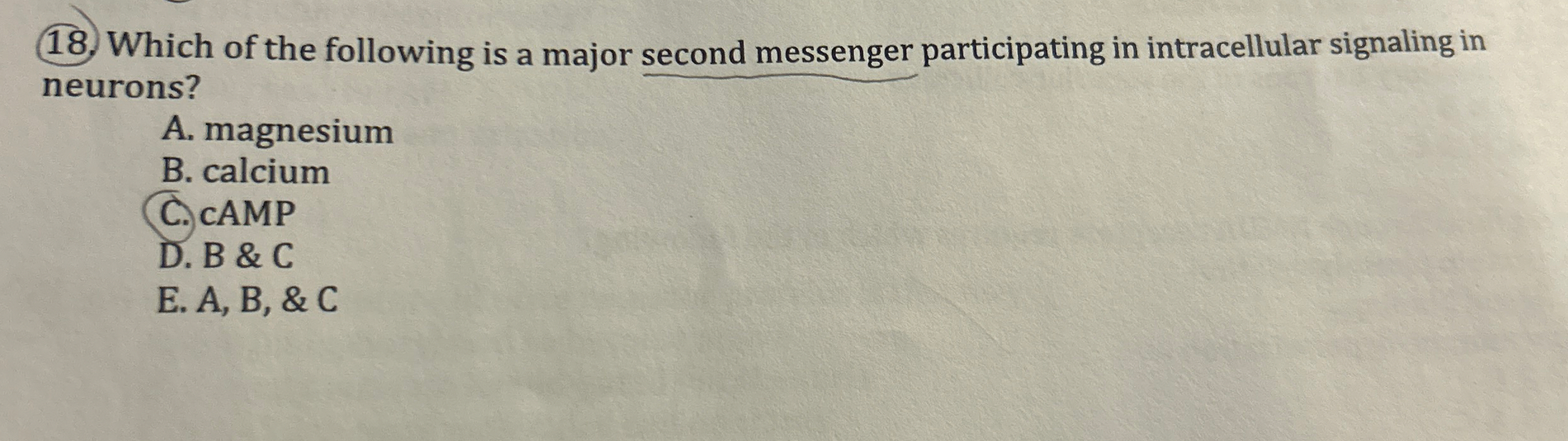 Which of the following is a major second