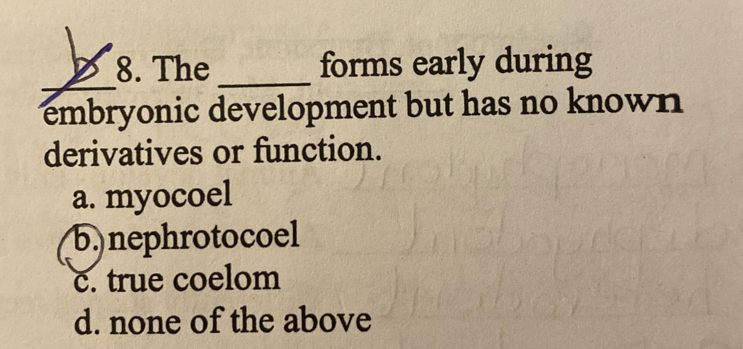 The q , forms early during embryonic development