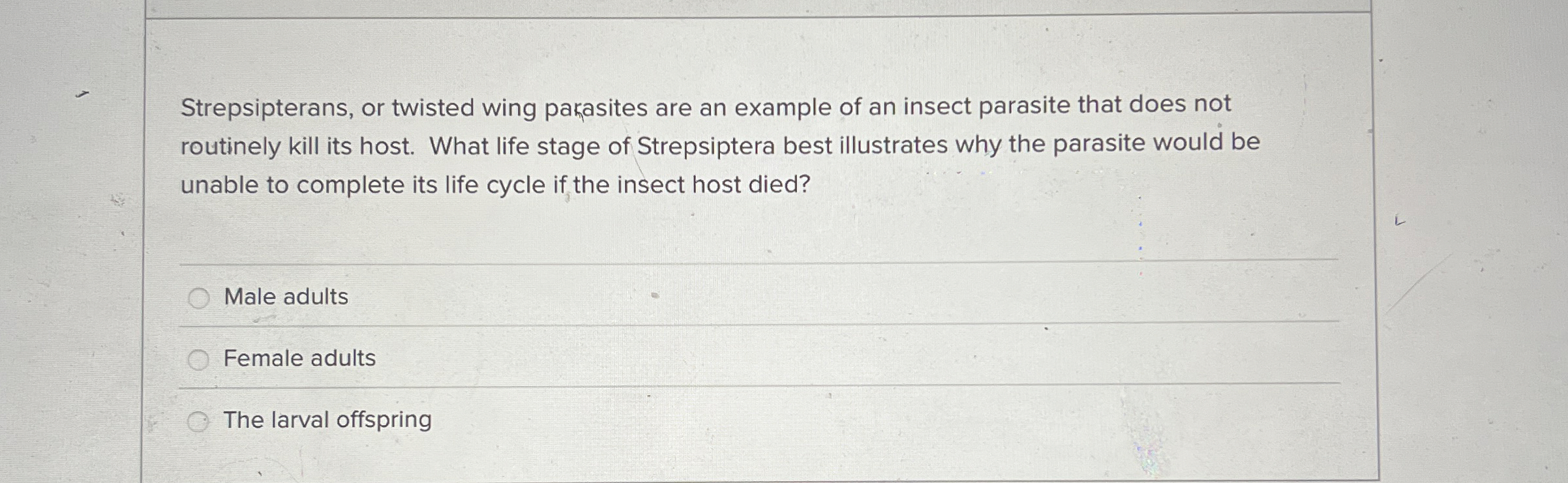 Strepsipterans, or twisted wing pakasites are an