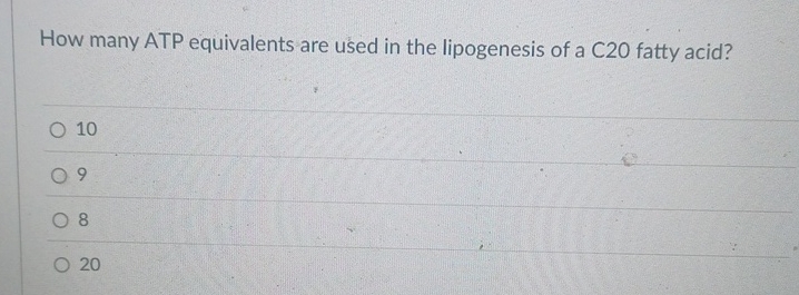 How many ATP equivalents are used in the