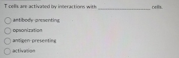 T cells are activated by interactions with cells.