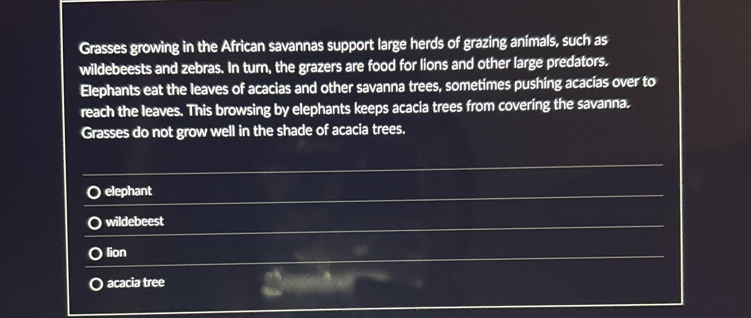 Grasses growing in the African savannas support