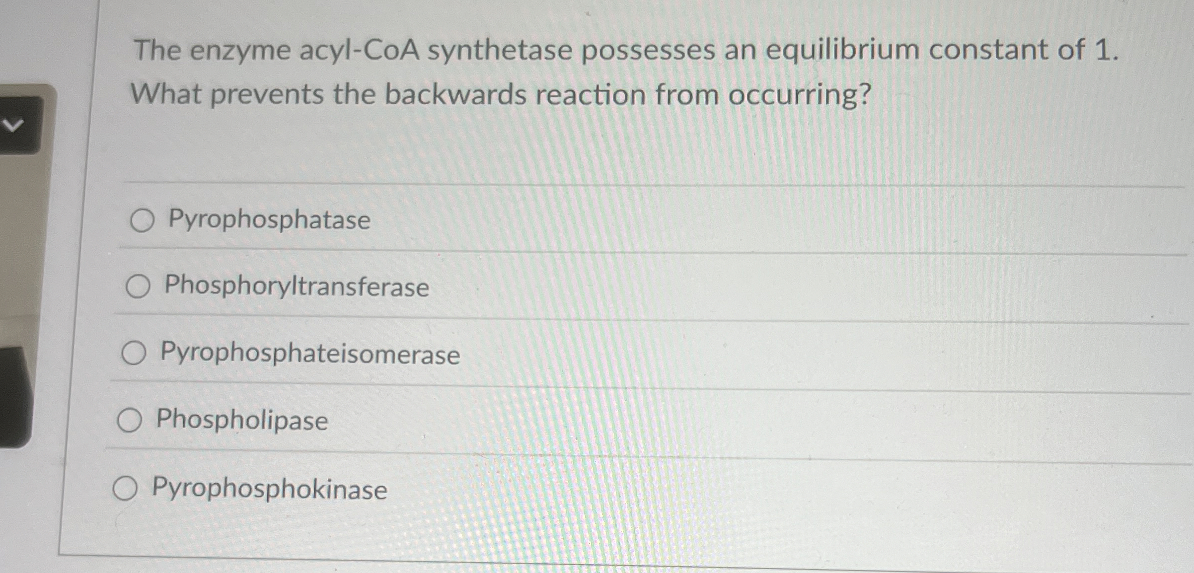 The enzyme acyl - CoA synthetase possesses an