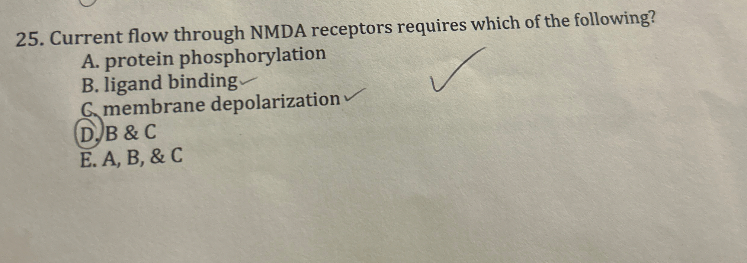Current flow through NMDA receptors requires