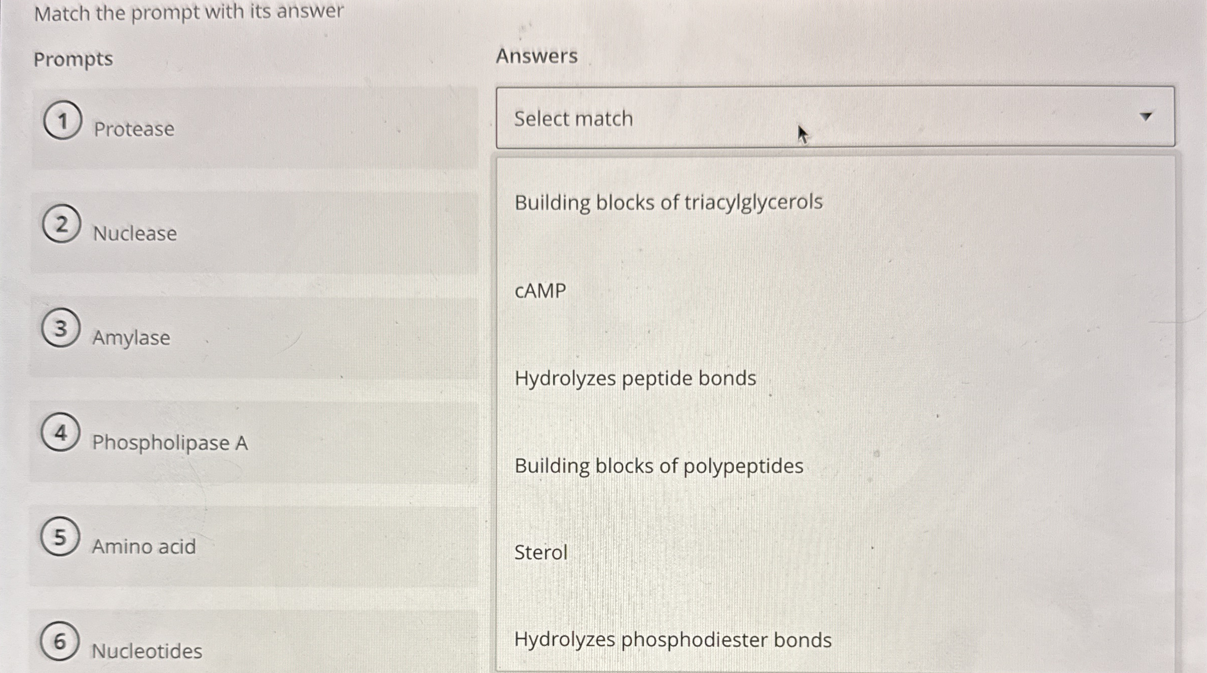 Match the prompt with its answer Prompts Protease