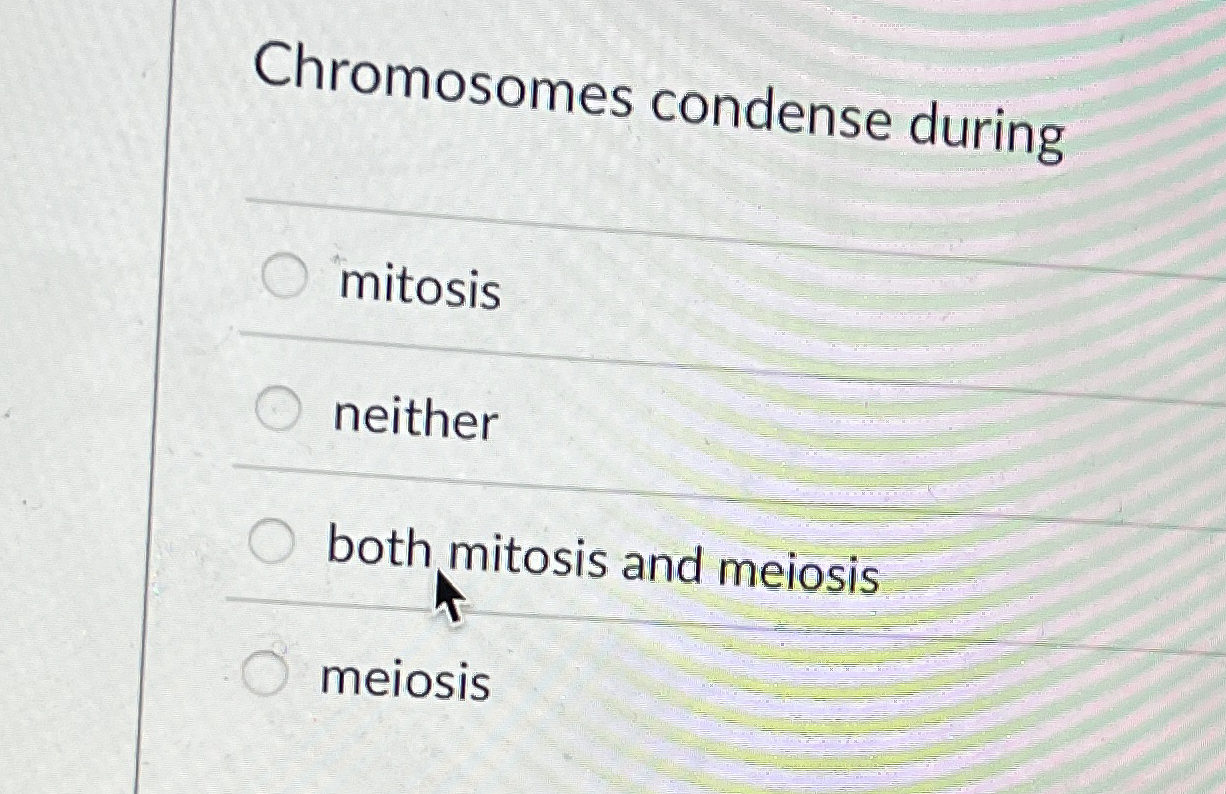 Chromosomes condense during mitosis neither both