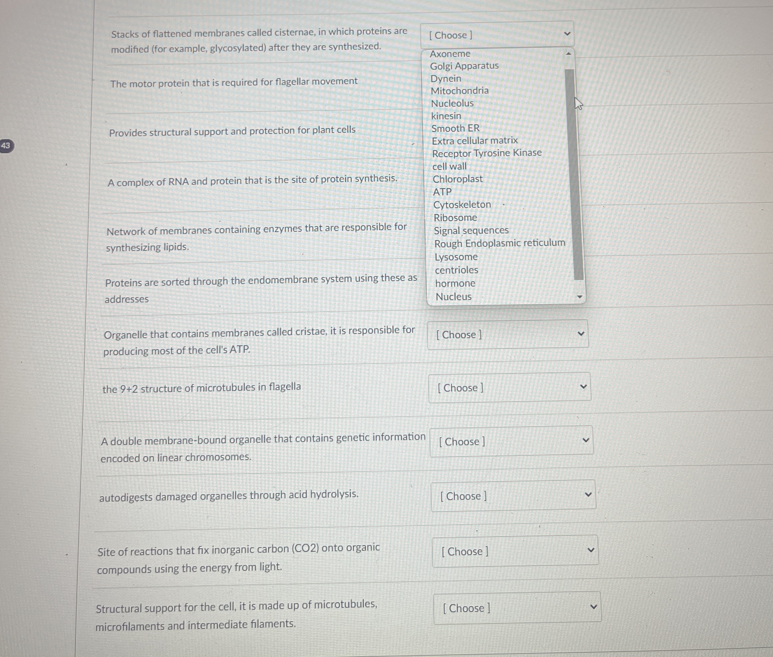 Stacks of flattened membranes called cisternae,