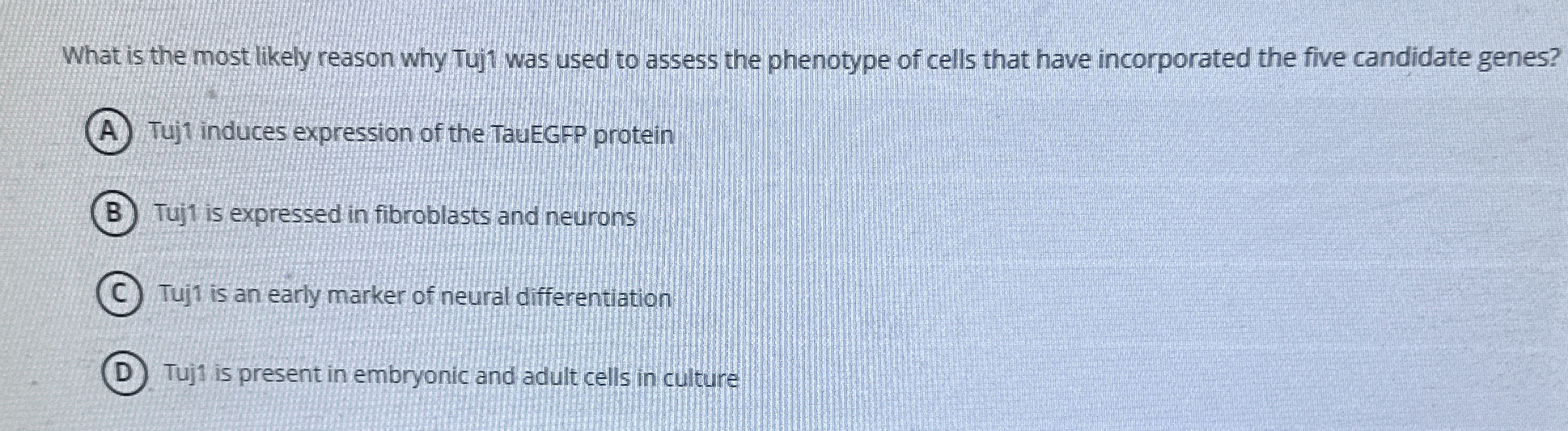 What is the most likely reason why Tuj 1 was used