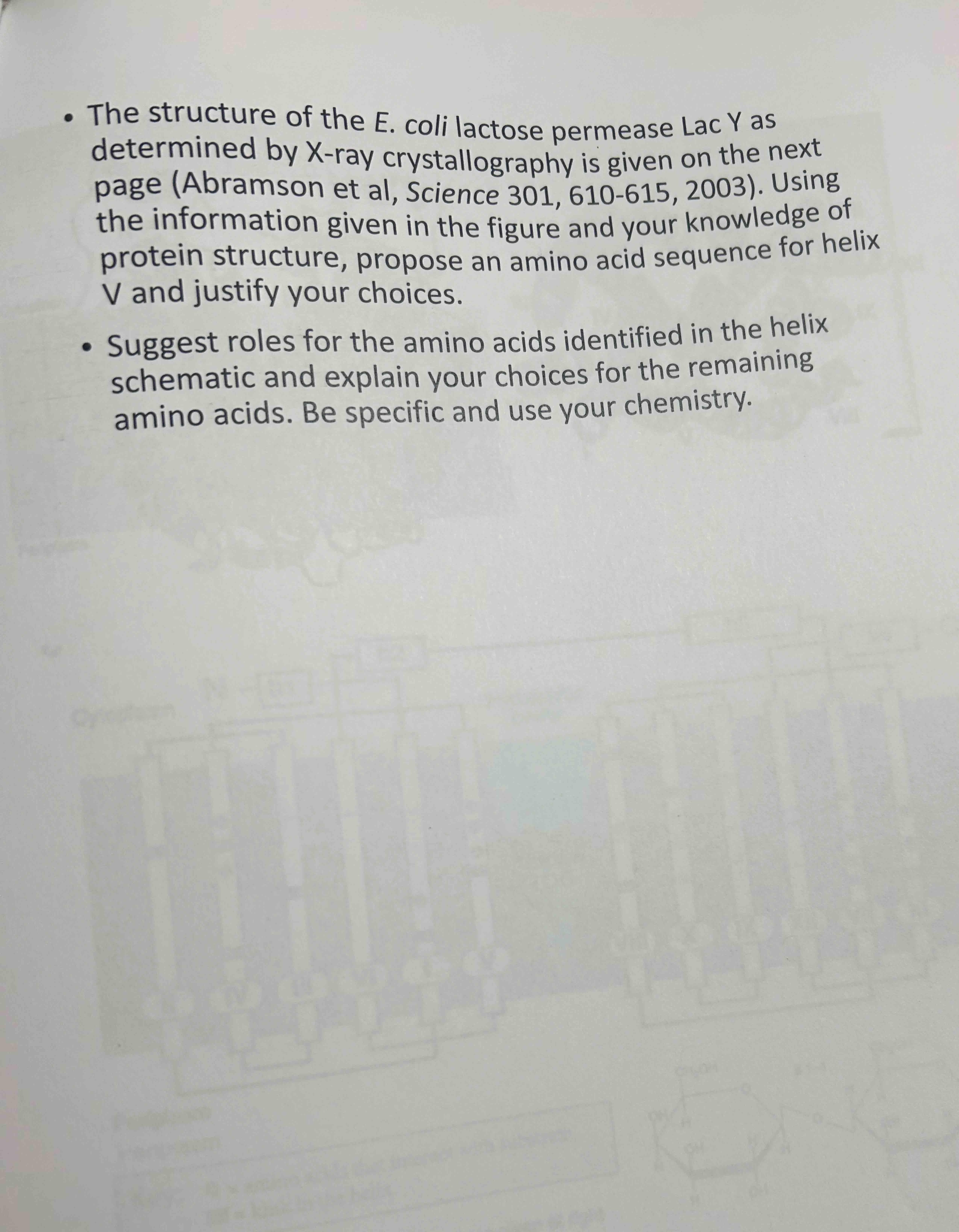 - The structure of the E . coli lactose permease