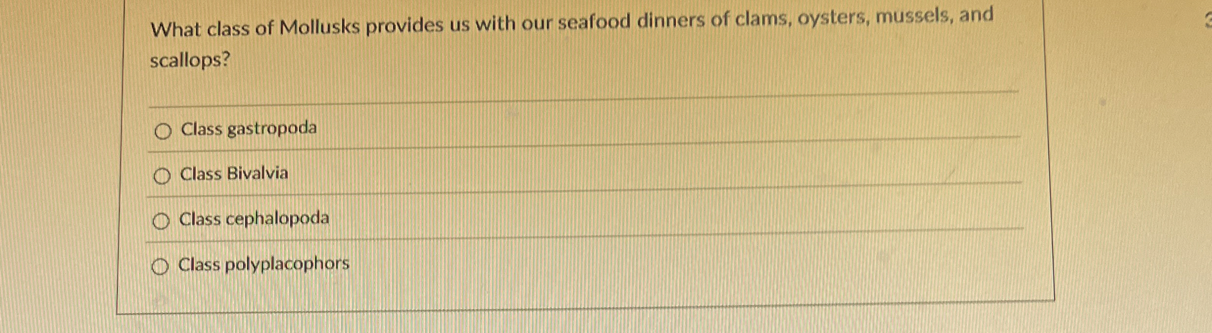 What class of Mollusks provides us with our