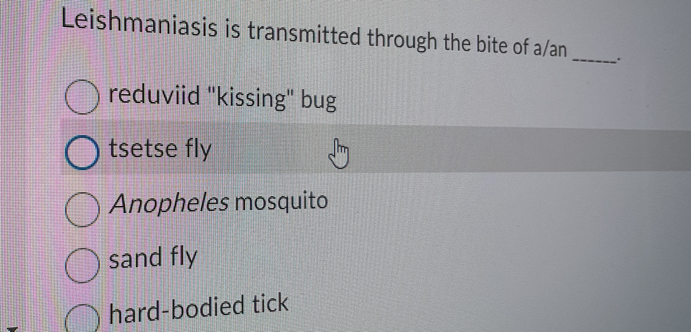 Leishmaniasis is transmitted through the bite of