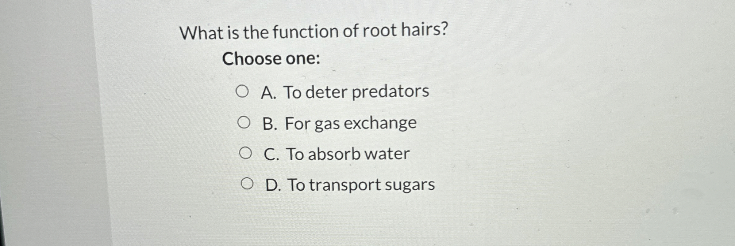 What is the function of root hairs? Choose one: A