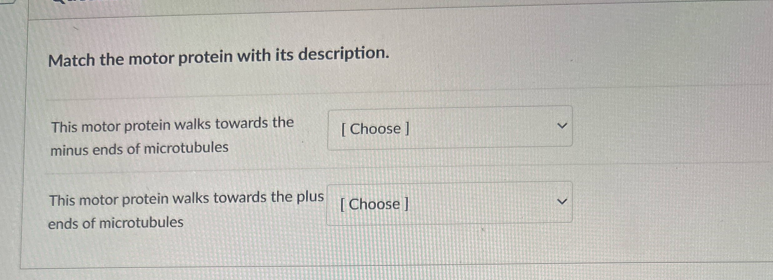 Match the motor protein with its description.