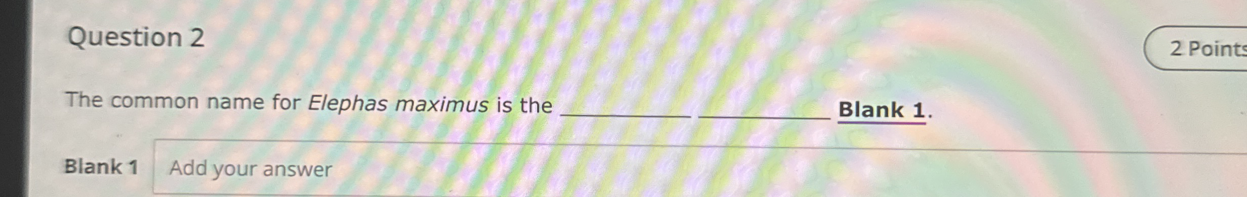Question 2 The common name for Elephas maximus is