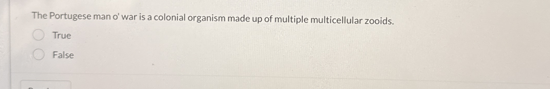 The Portugese man o ' war is a colonial organism