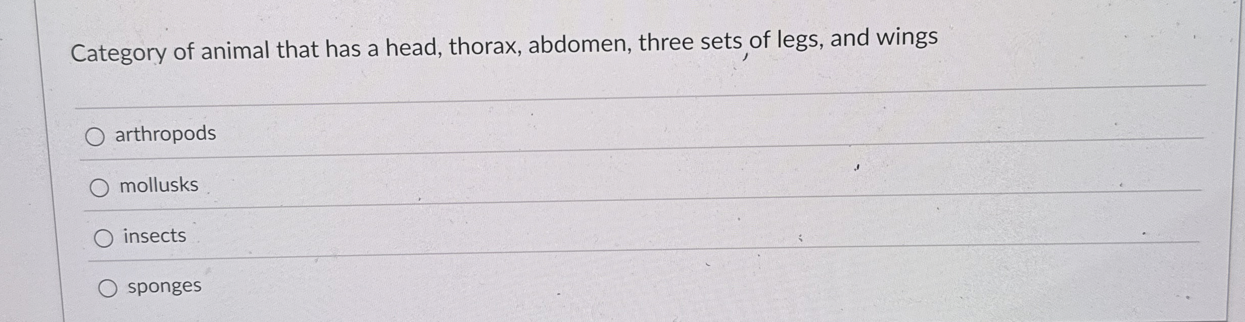 Category of animal that has a head, thorax,