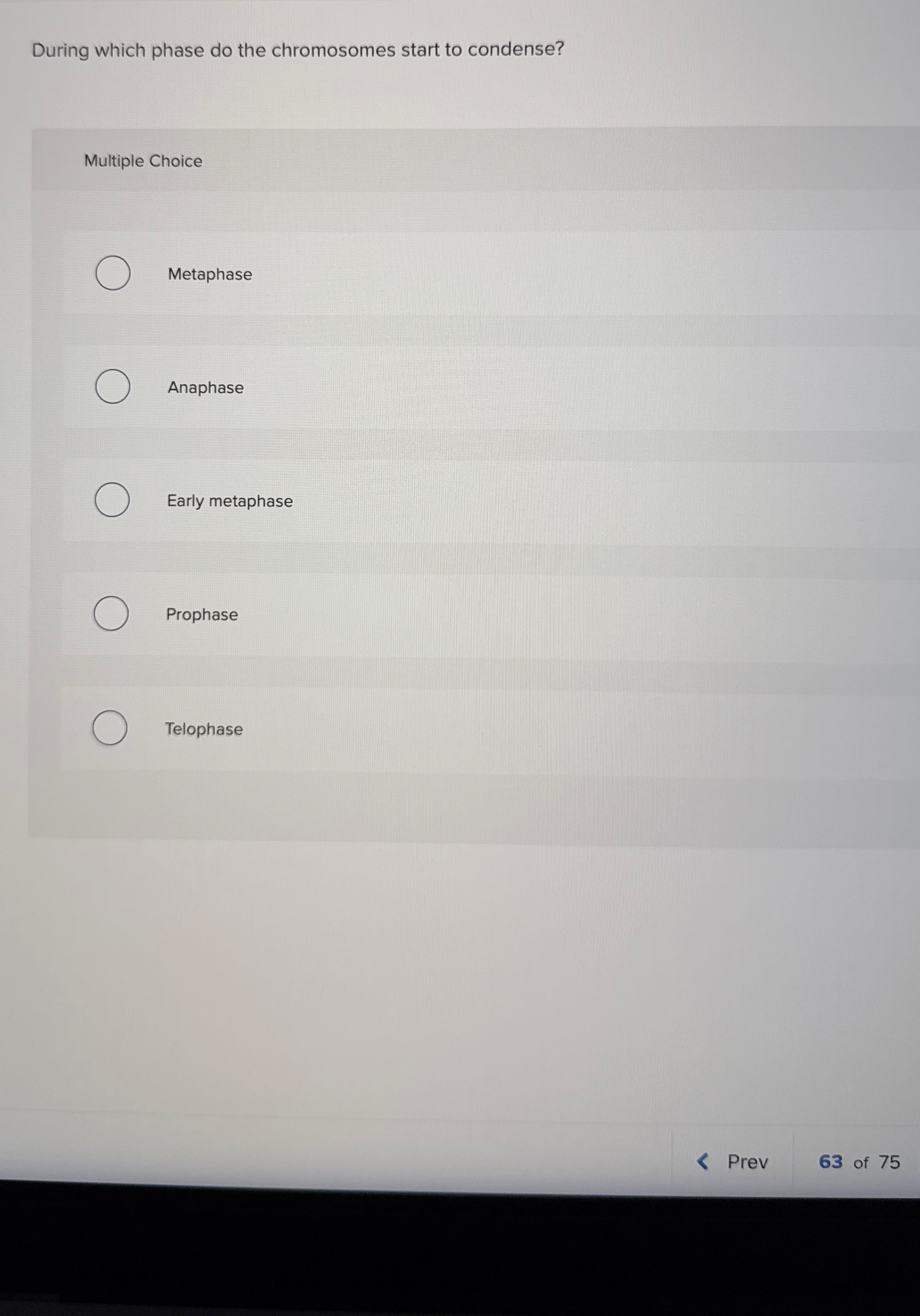 During which phase do the chromosomes start to