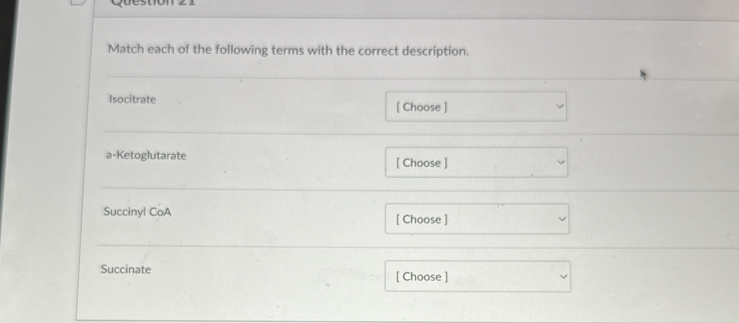 Match each of the following terms with the