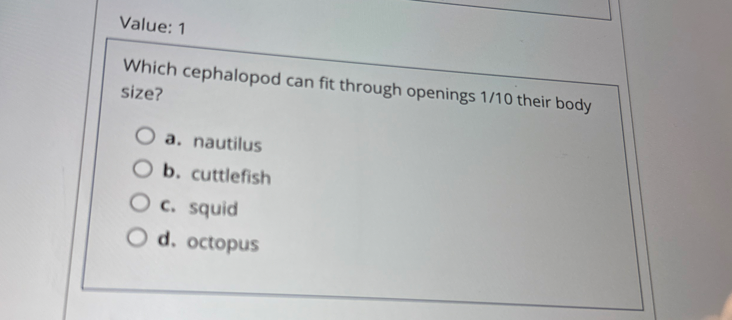 Value: 1 Which cephalopod can fit through