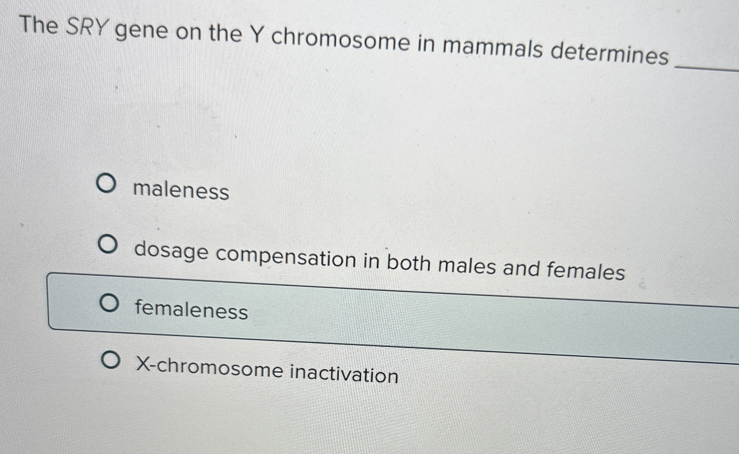 The SRY gene on the Y chromosome in mammals