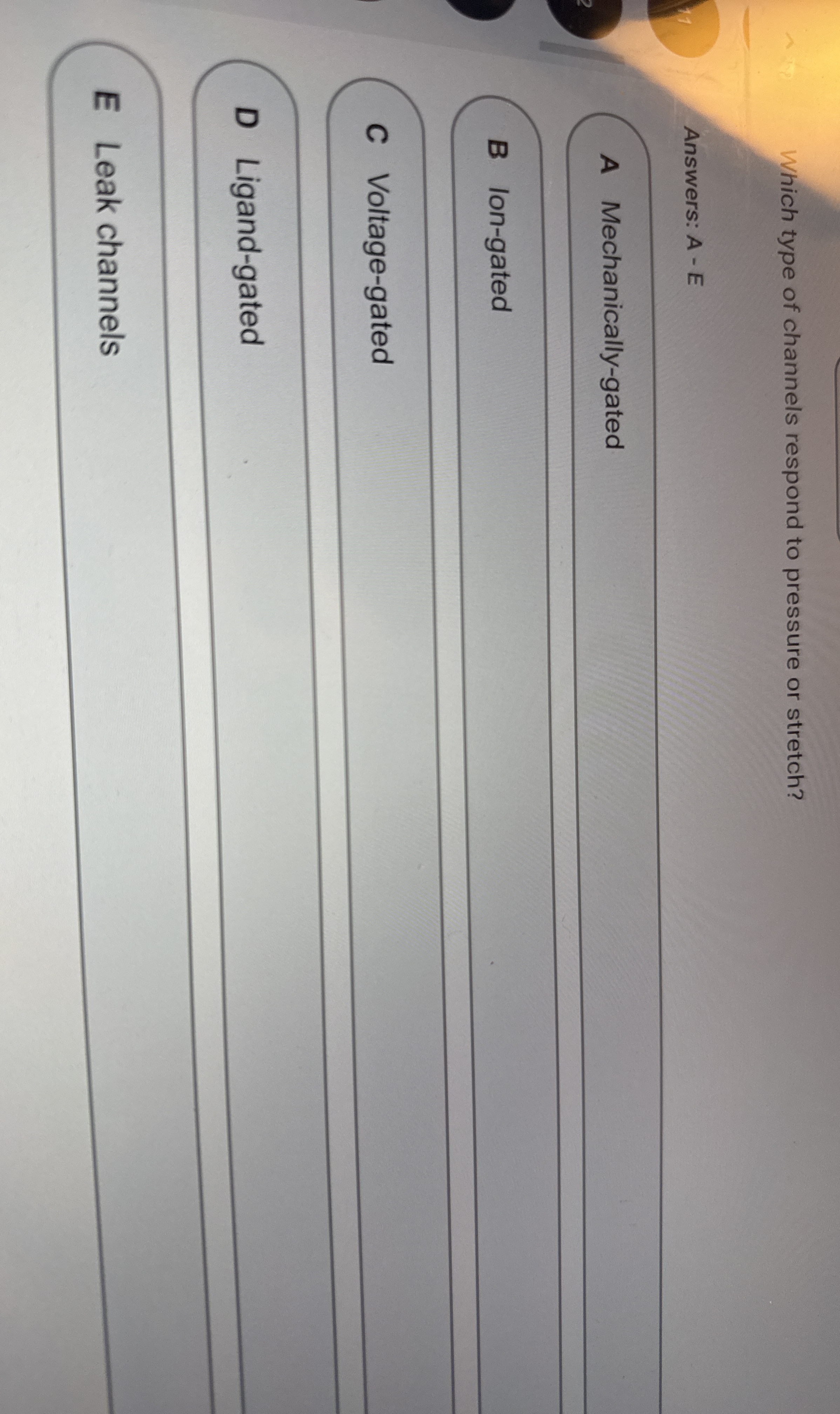 Which type of channels respond to pressure or