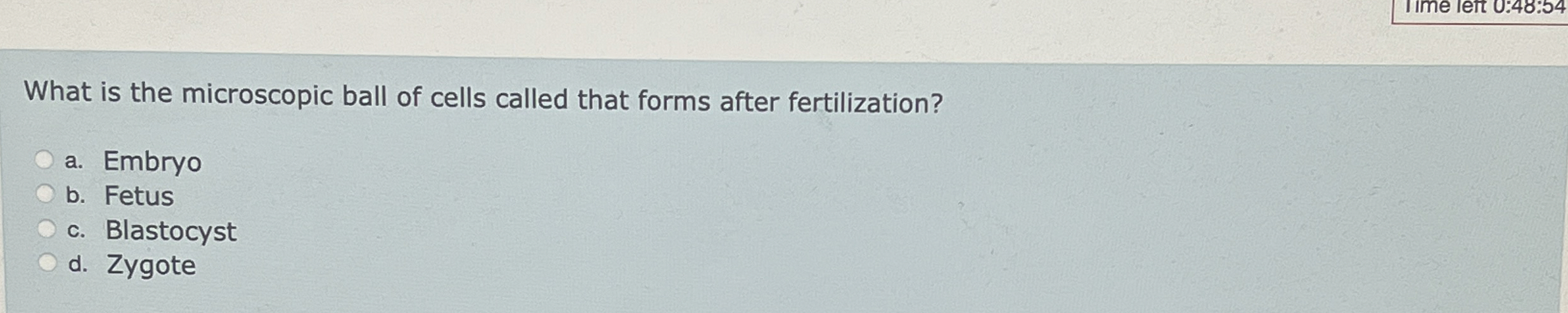 What is the microscopic ball of cells called that