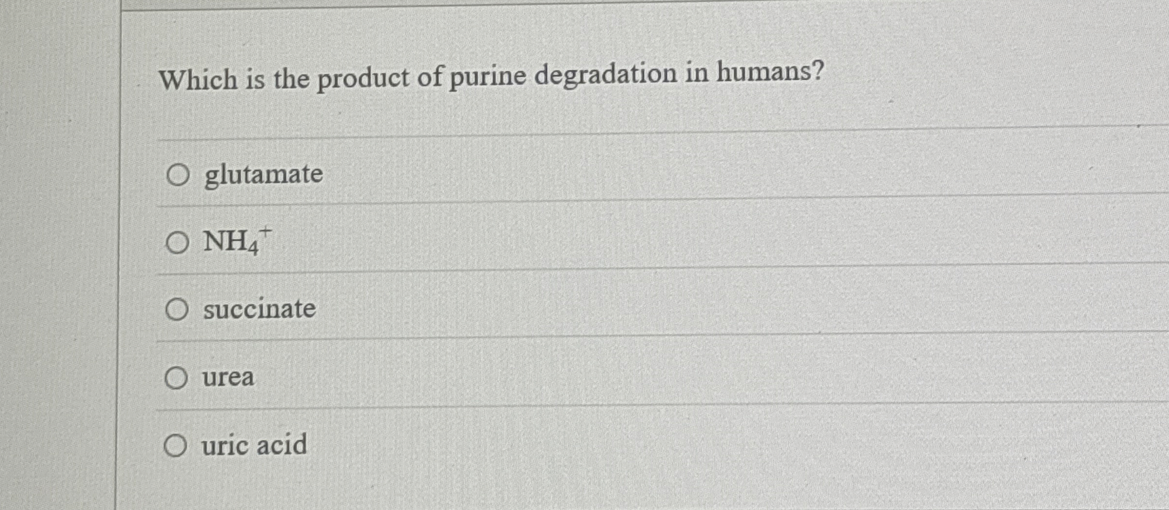 Which is the product of purine degradation in