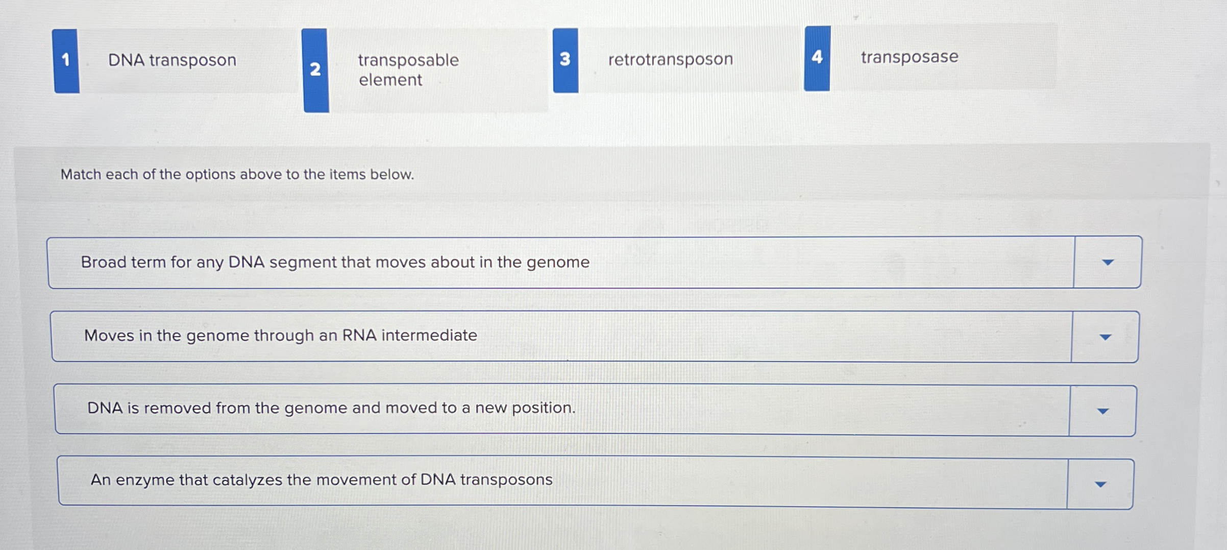 1 DNA transposon 2 transposable 3 retrotransposon