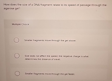 How does the size of a DNA fragment relate to its