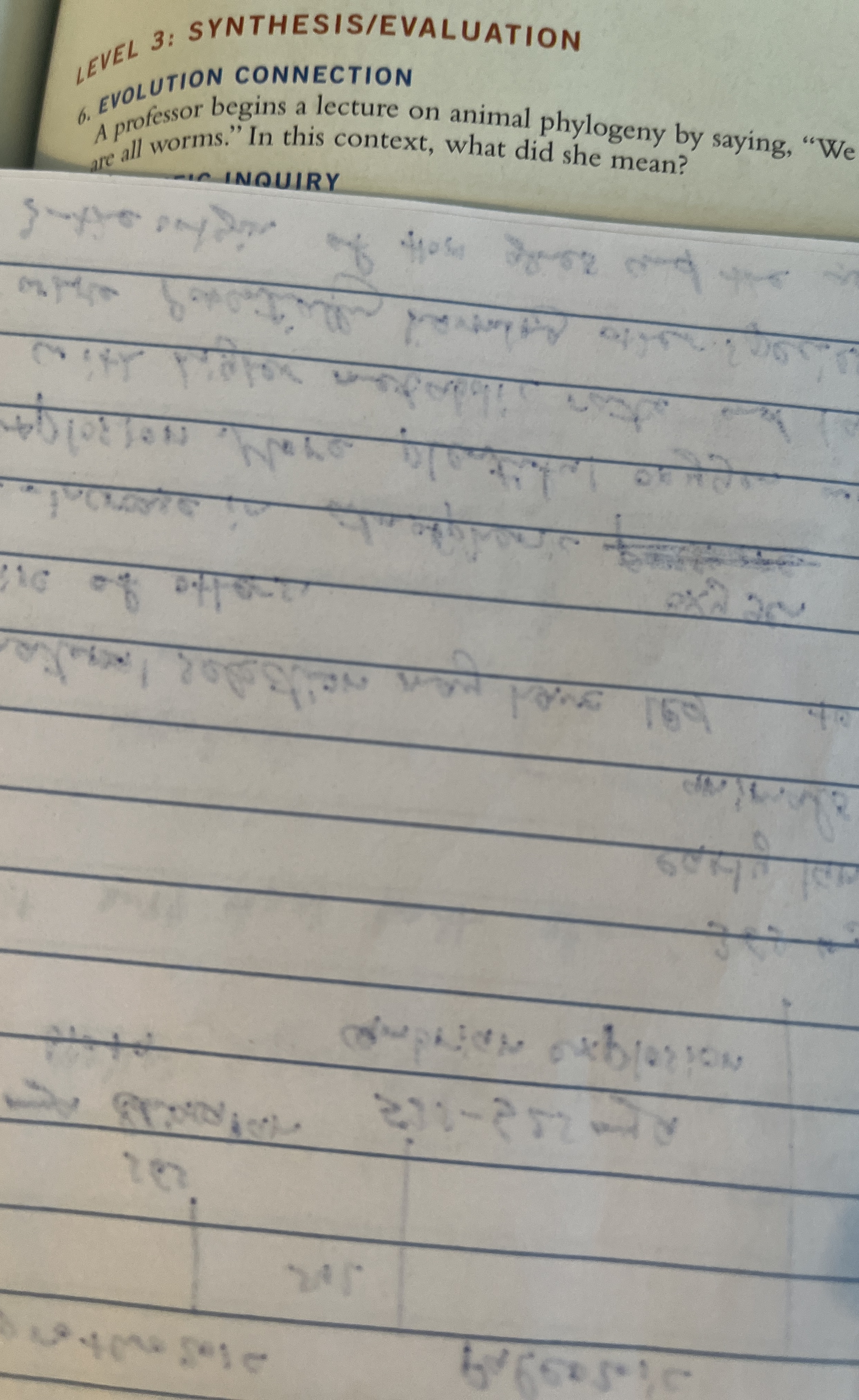 ? 4 EVEL 3 : SYNTHESIS / EVALUATION 6 . EVOLUTION