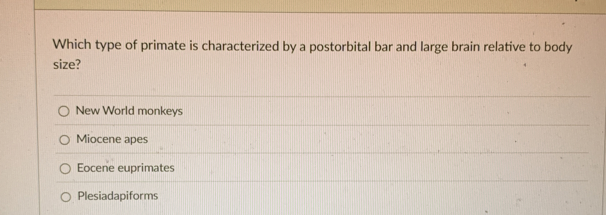 Which type of primate is characterized by a