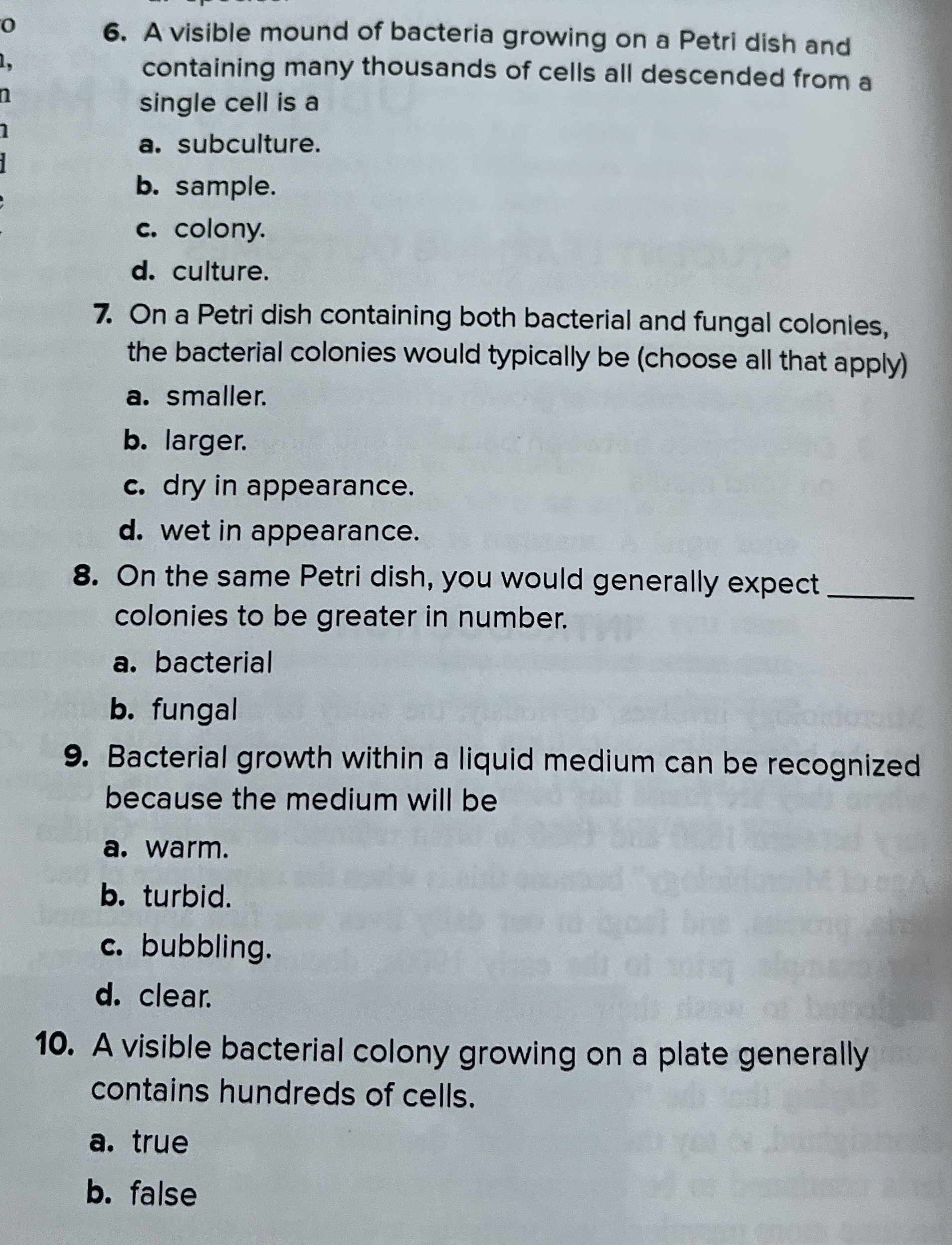 A visible mound of bacteria growing on a Petri