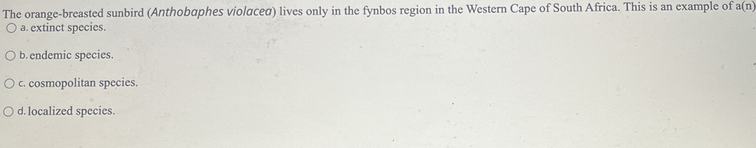 The orange - breasted sunbird ( Anthobaphes