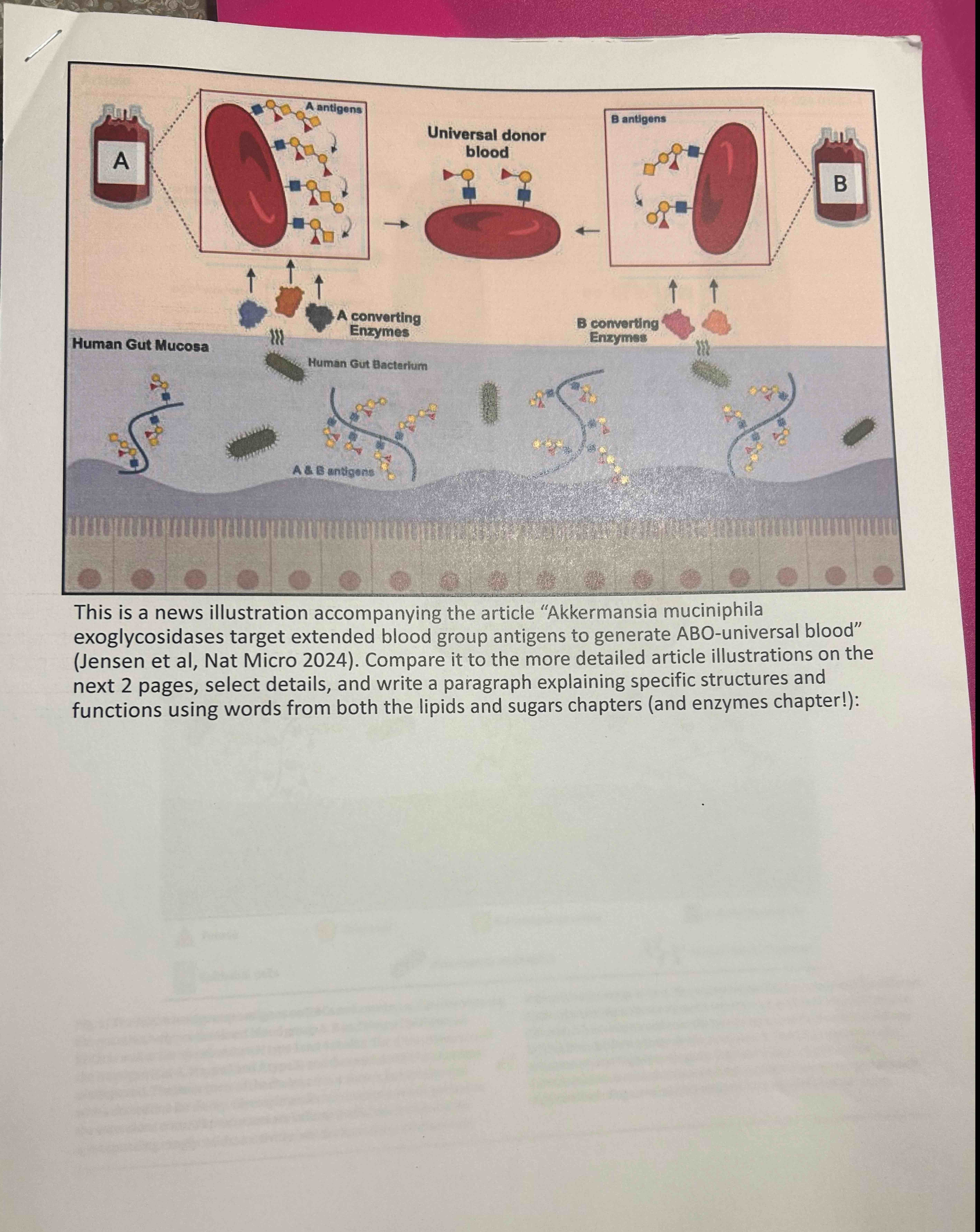 This is a news illustration accompanying the