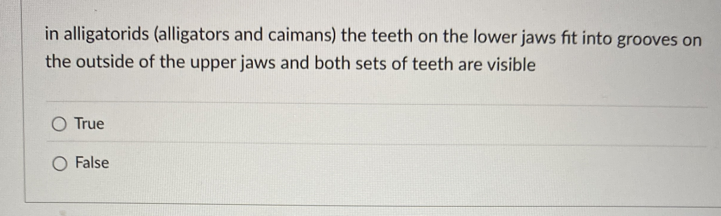 in alligatorids ( alligators and caimans ) the