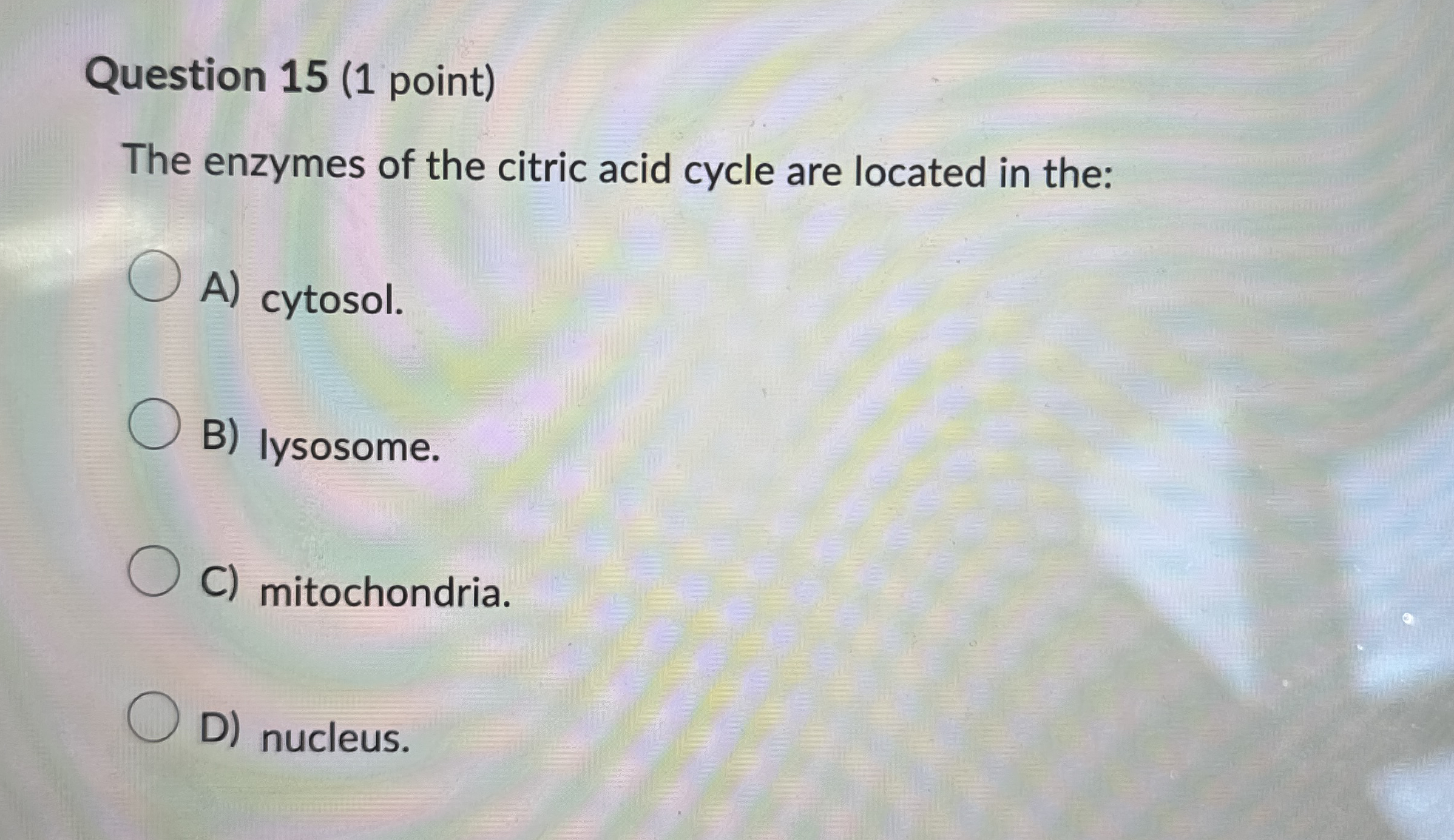 Question 1 5 ( 1 point ) The enzymes of the
