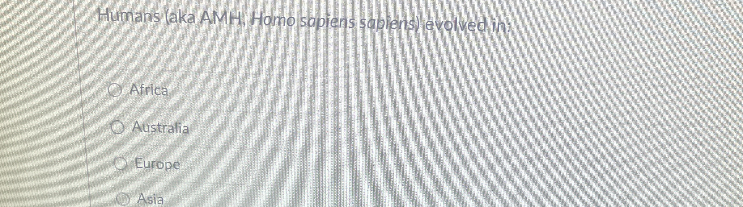 Humans ( aka AMH, Homo sapiens sapiens ) evolved