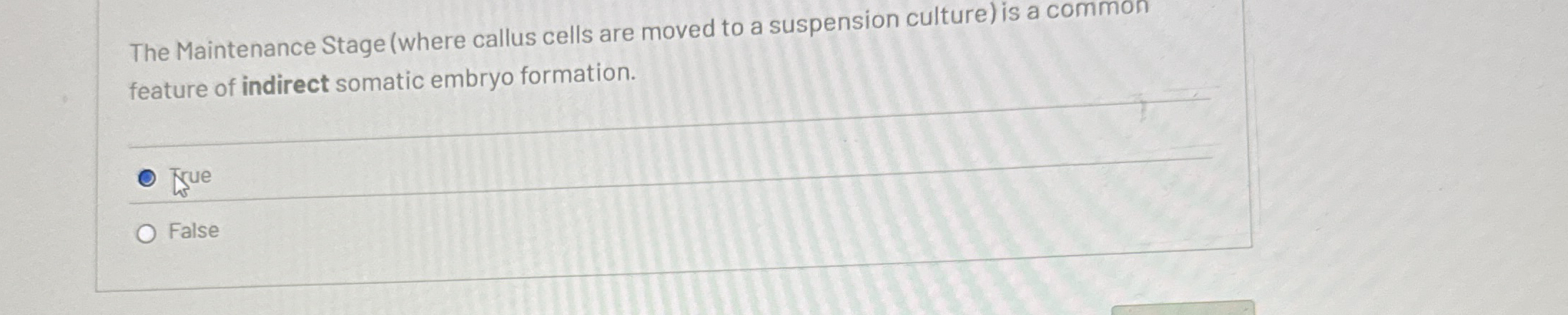 The Maintenance Stage ( where callus cells are