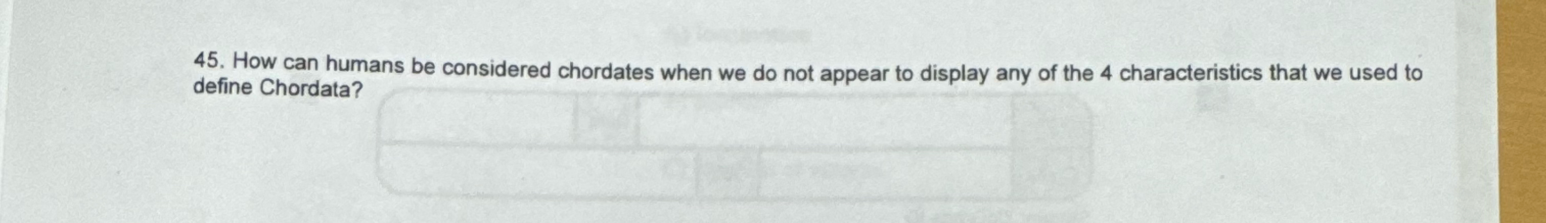 How can humans be considered chordates when we do
