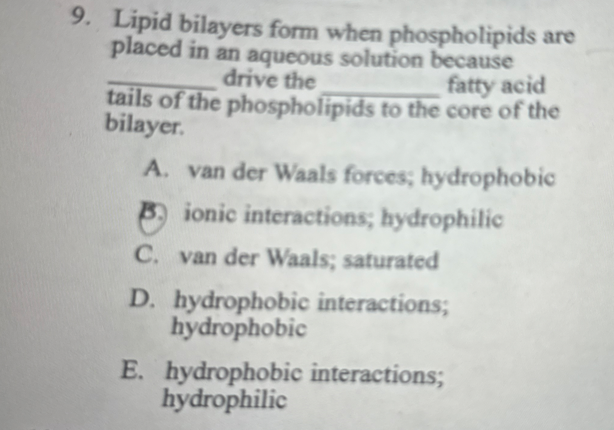 Lipid bilayers form when phospholipids are placed