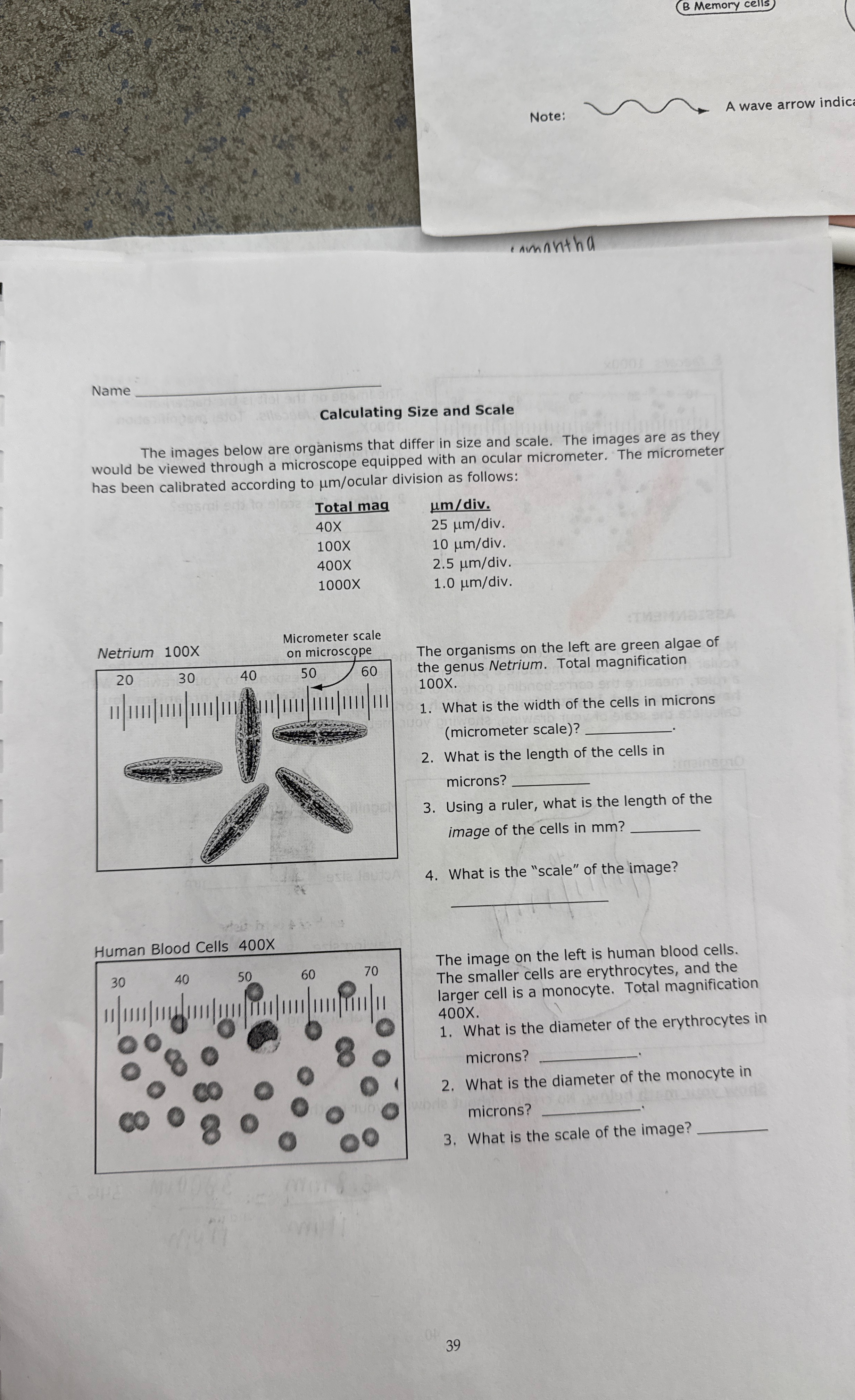 ( B Memory cells ) Note: A wave arrow indic Name