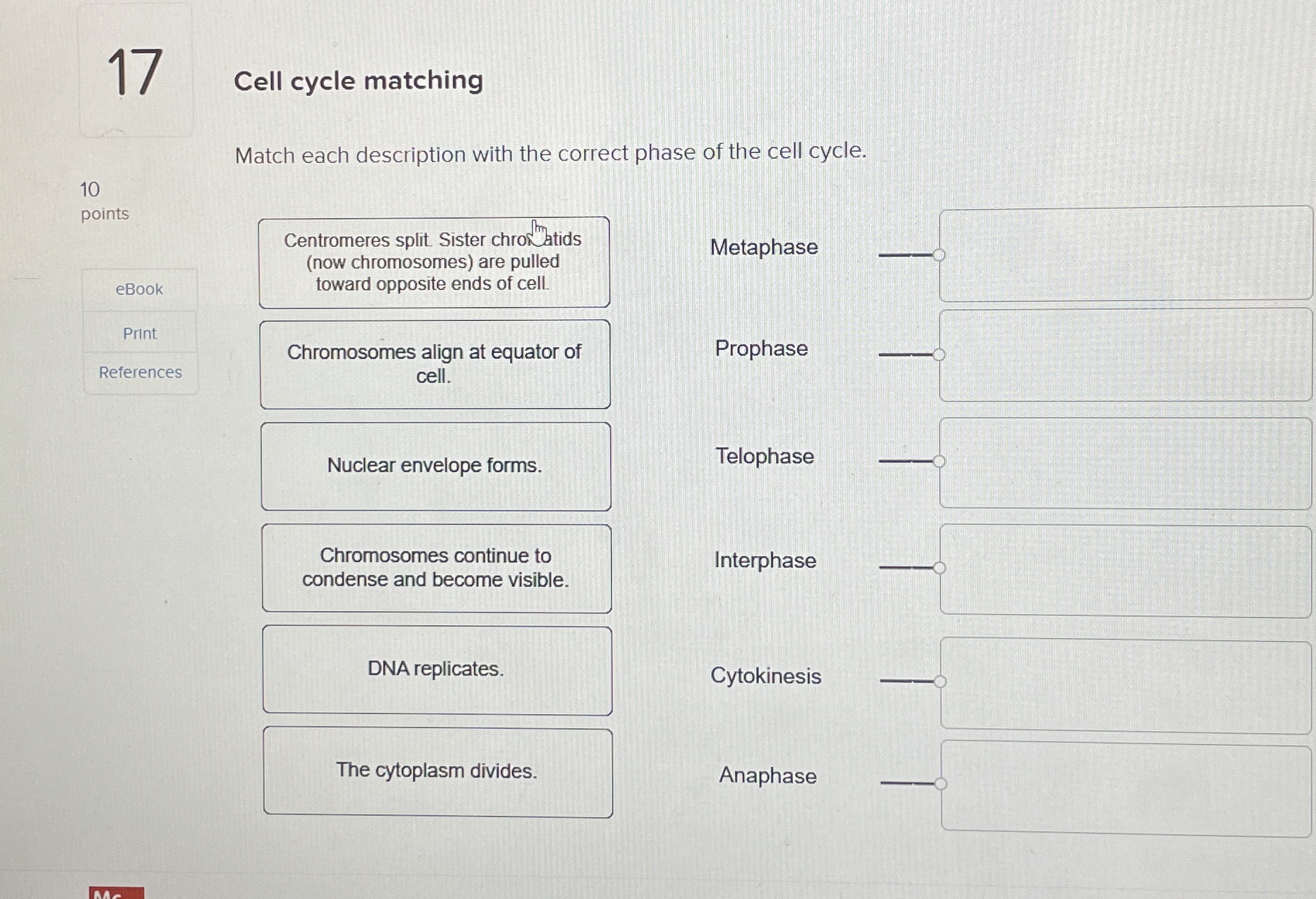 1 7 Cell cycle matching Match each description