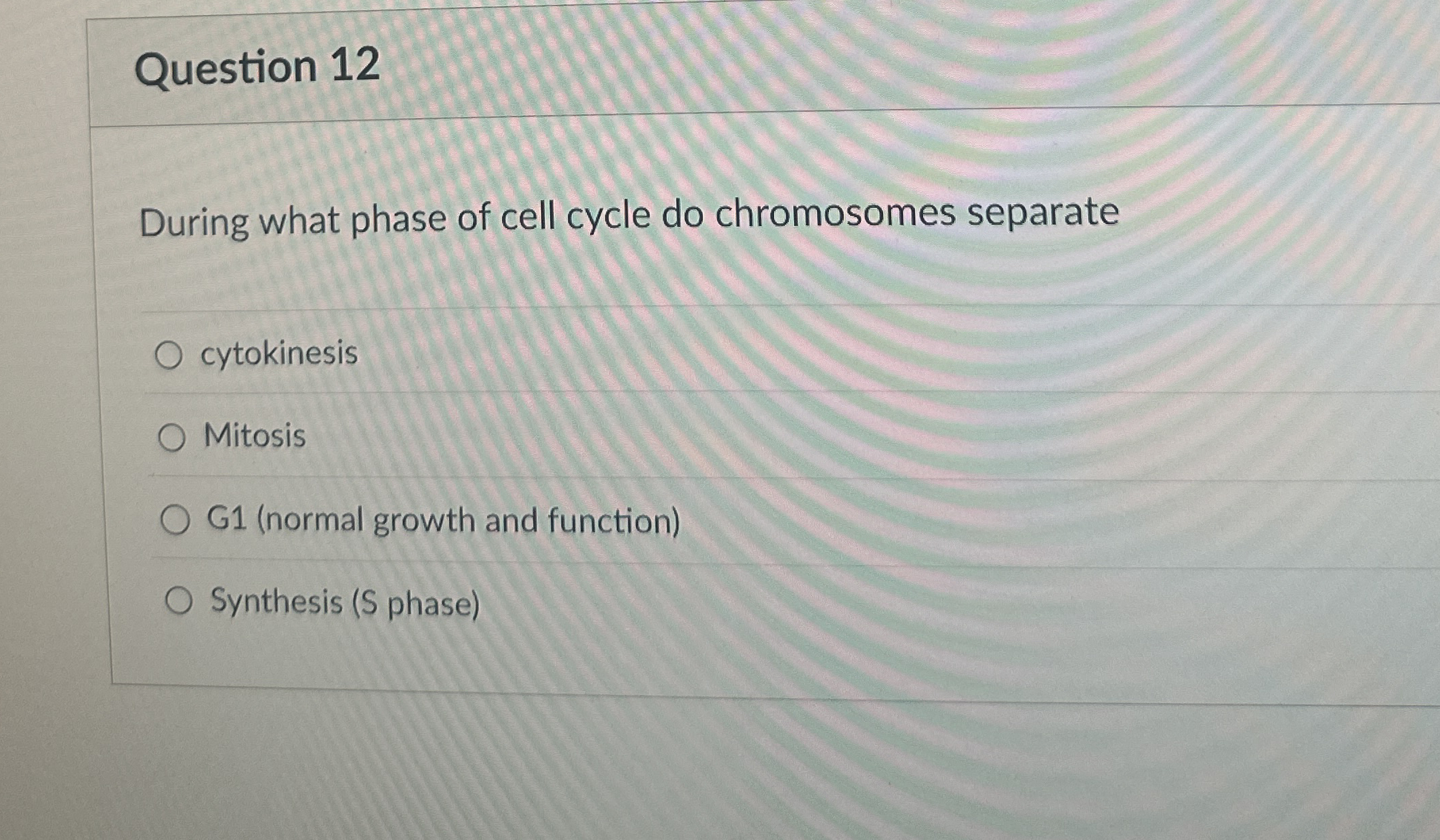 Question 1 2 During what phase of cell cycle do