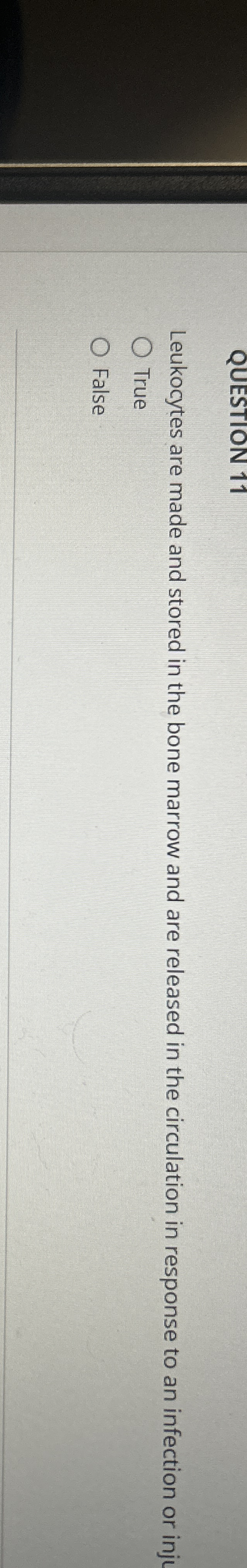 Leukocytes are made and stored in the bone marrow