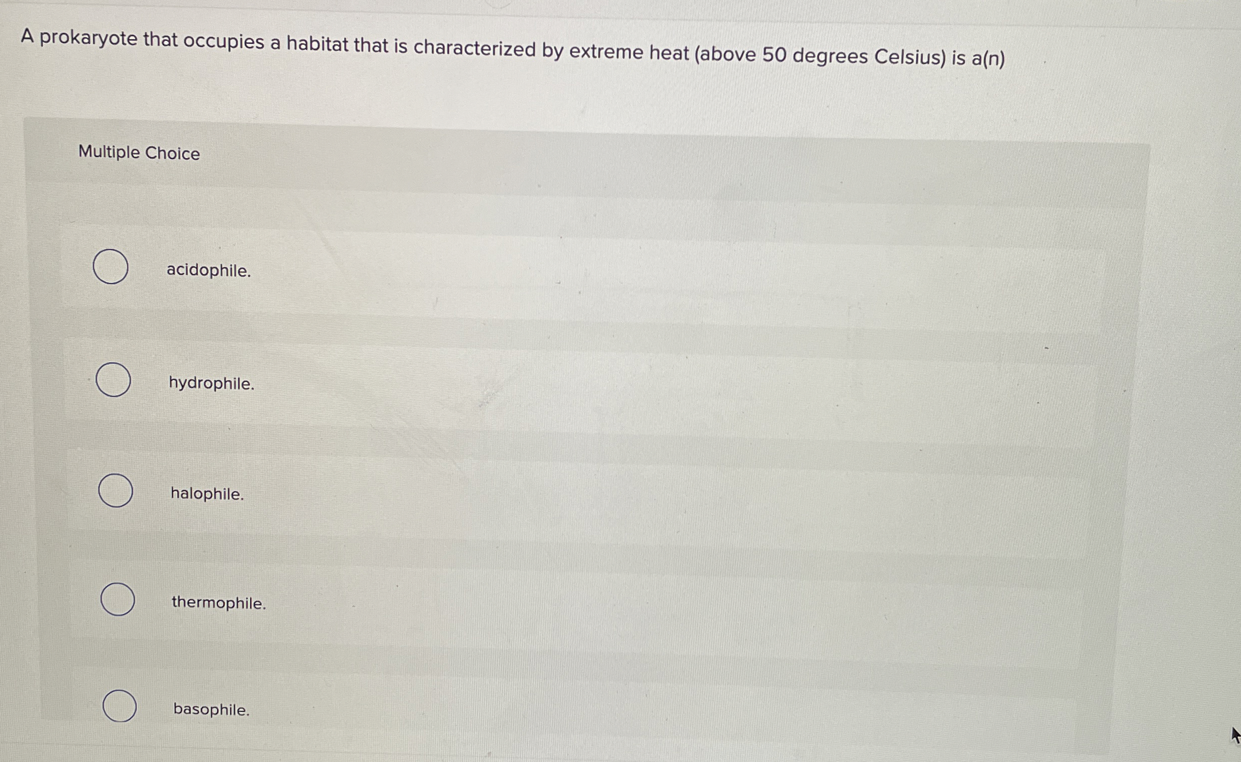 A prokaryote that occupies a habitat that is